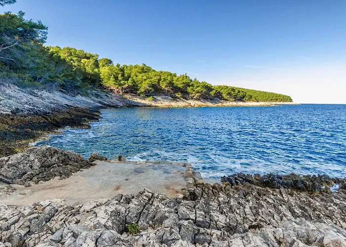 Seaside House For Families With Children Cove Zanavje - Korcula - 19224 Holiday home Blato (Korcula)