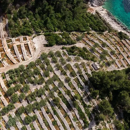 Seaside House For Families With Children Cove Zanavje, Korcula - 19224 * Blato (Korcula)