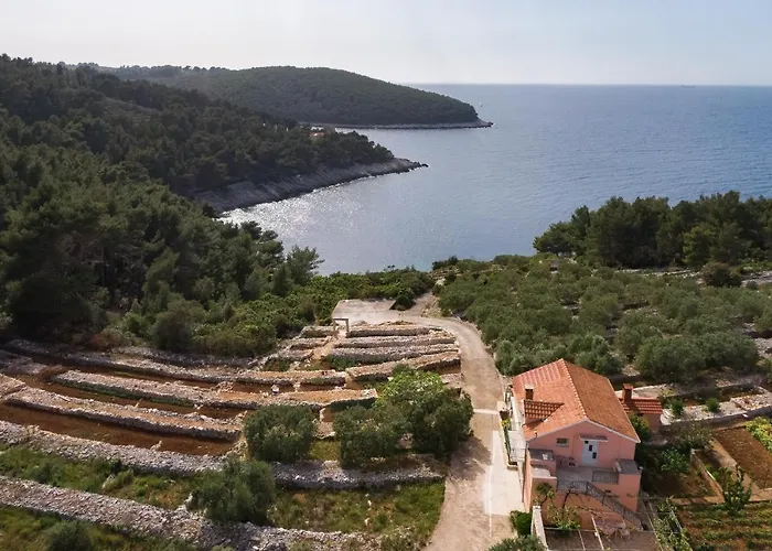 Seaside House For Families With Children Cove Zanavje - Korcula - 19224 Holiday home
